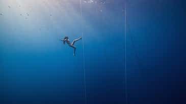 Scientists still don’t understand how freedivers can survive such crushing depths