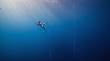 Scientists still don’t understand how freedivers can survive such crushing depths
