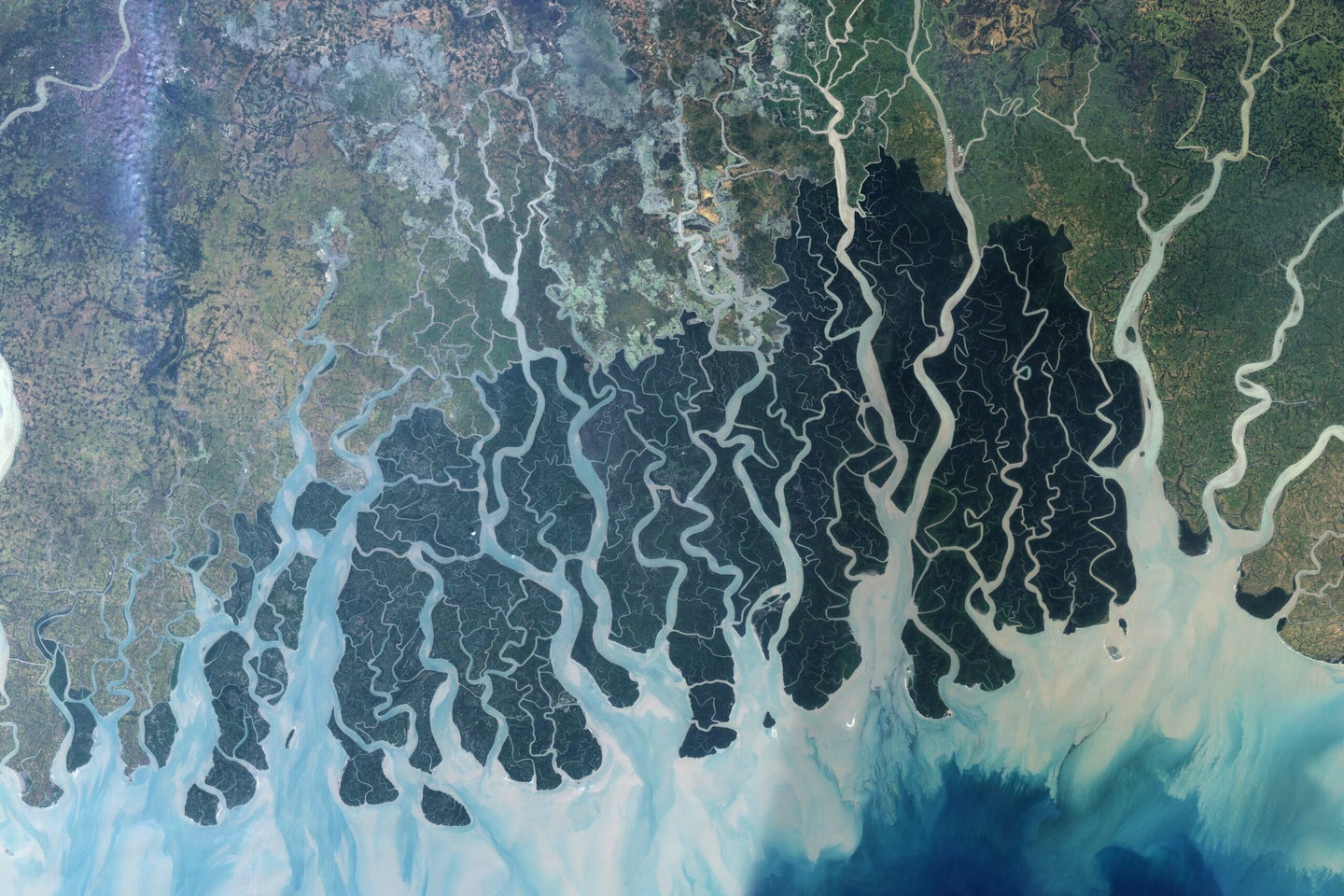 Satellite image of the Sundarban mangrove forest in Bangladesh.