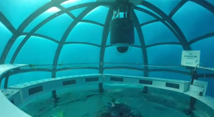 Underwater Greenhouses Offer Creative Solution To Food Crisis