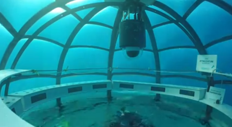 Underwater Greenhouses Offer Creative Solution To Food Crisis