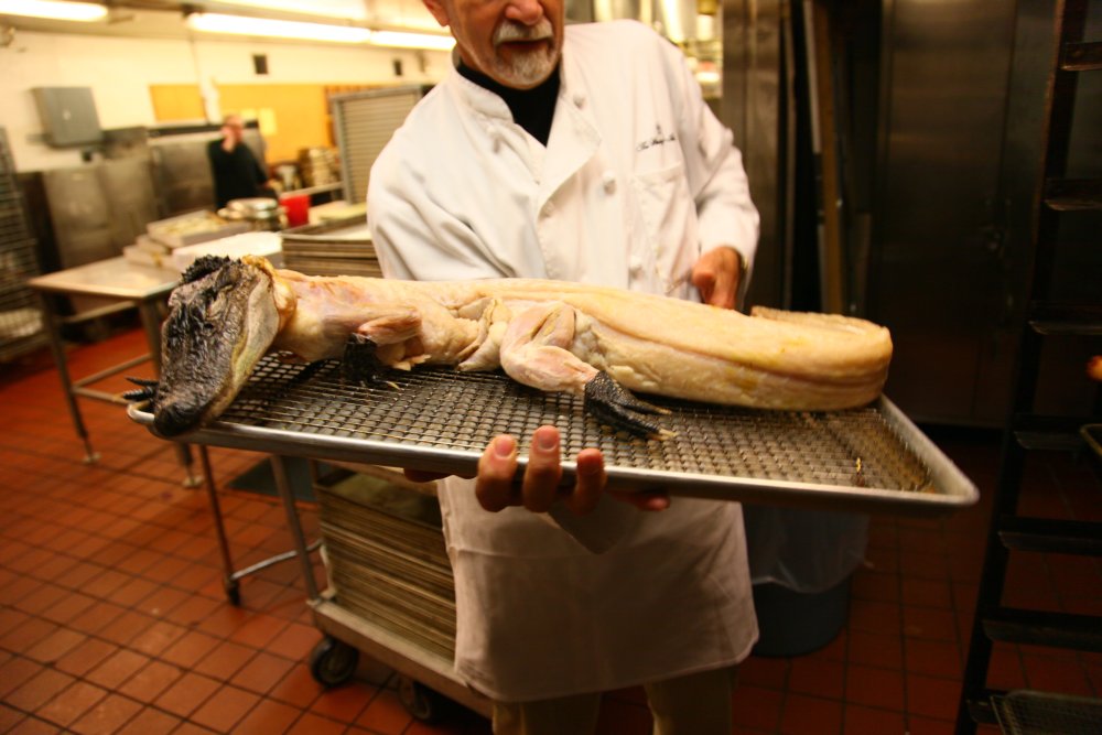 A Taste of Exotic Meats at the Explorers Club Annual Dinner