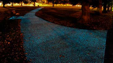 Glow-In-The-Dark Paths Could Be The Future Of Street Lighting