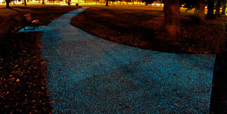 Glow-In-The-Dark Paths Could Be The Future Of Street Lighting
