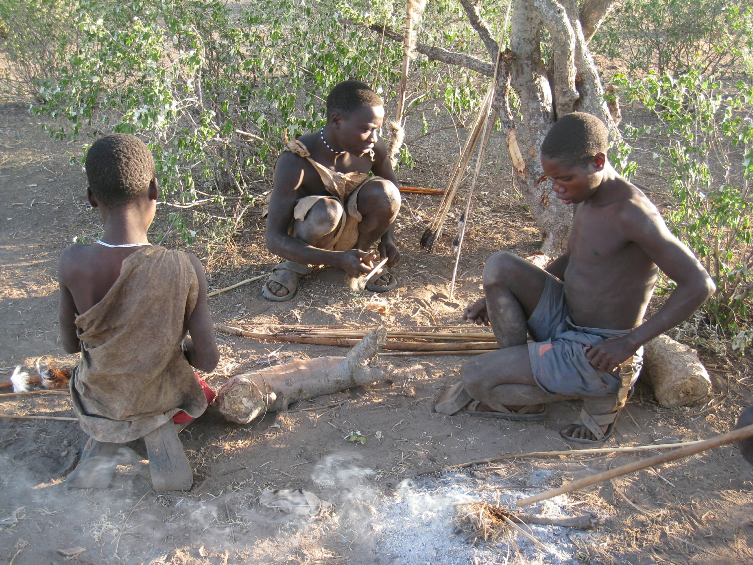The gut microbes of modern hunter-gatherers reveal one big problem with your diet