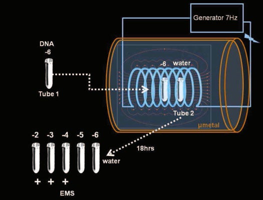 Can Our DNA Electromagnetically ‘Teleport’ Itself? One Researcher Thinks So