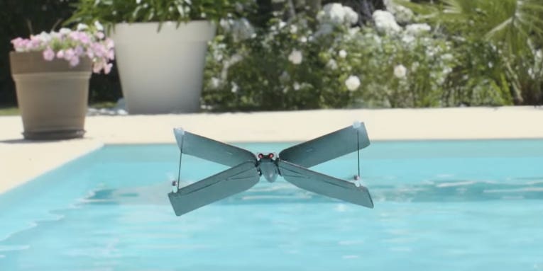 Parrot Unveils New X-Winged Drone