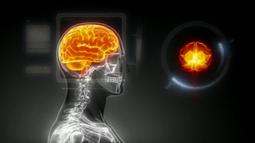 European Researchers Win $1.3 Billion To Simulate The Human Brain