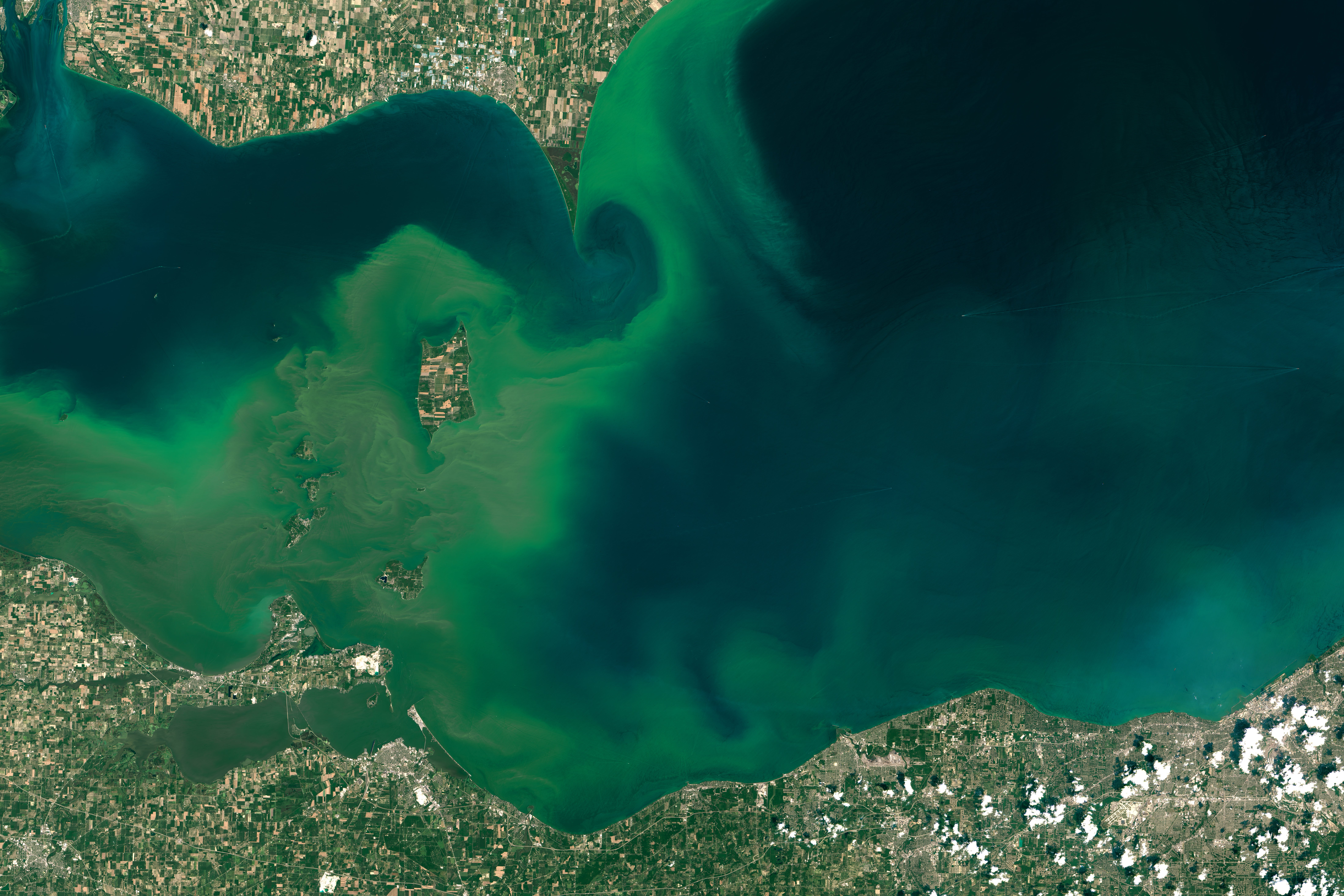 A wet summer, warm temperatures and fertilizer runoff combined in a perfect storm that has erupted an <a href="http://www.washingtonpost.com/blogs/capital-weather-gang/wp/2015/08/07/lake-erie-is-in-the-midst-of-yet-another-dangerous-disgusting-algae-outbreak/">algal bloom in Lake Erie</a>, which rivals the worst one ever recorded in 2011. Algae fed off the phosphorous and nitrogen in fertilizer runoff from farms in Ohio and Indiana, and <a href="https://www.popsci.com/article/science/big-pic-texas-sized-algae-bloom/">exploded in numbers</a> once they reached the lake. <a href="http://earthobservatory.nasa.gov/IOTD/view.php?id=86327">Algal blooms</a> can <a href="https://www.popsci.com/article/science/lake-eries-toxic-algal-bloom-seen-space/">deprive waterways of oxygen</a>, killing the fish and marine life. They can also be harmful to pets, impede recreation, and sometimes <a href="http://earthobservatory.nasa.gov/IOTD/view.php?id=84125">render the drinking water unsafe</a>. Luckily, the water in Toledo, Ohio today is still <a href="http://toledo.oh.gov/services/public-utilities/water-treatment/water-quality/">safe for drinking</a>.