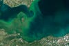 A wet summer, warm temperatures and fertilizer runoff combined in a perfect storm that has erupted an <a href="http://www.washingtonpost.com/blogs/capital-weather-gang/wp/2015/08/07/lake-erie-is-in-the-midst-of-yet-another-dangerous-disgusting-algae-outbreak/">algal bloom in Lake Erie</a>, which rivals the worst one ever recorded in 2011. Algae fed off the phosphorous and nitrogen in fertilizer runoff from farms in Ohio and Indiana, and exploded in numbers once they reached the lake. <a href="http://earthobservatory.nasa.gov/IOTD/view.php?id=86327">Algal blooms</a> can <a href="https://www.popsci.com/article/science/lake-eries-toxic-algal-bloom-seen-space/">deprive waterways of oxygen</a>, killing the fish and marine life. They can also be harmful to pets, impede recreation, and sometimes <a href="http://earthobservatory.nasa.gov/IOTD/view.php?id=84125">render the drinking water unsafe</a>. Luckily, the water in Toledo, Ohio today is still <a href="http://toledo.oh.gov/services/public-utilities/water-treatment/water-quality/">safe for drinking</a>.