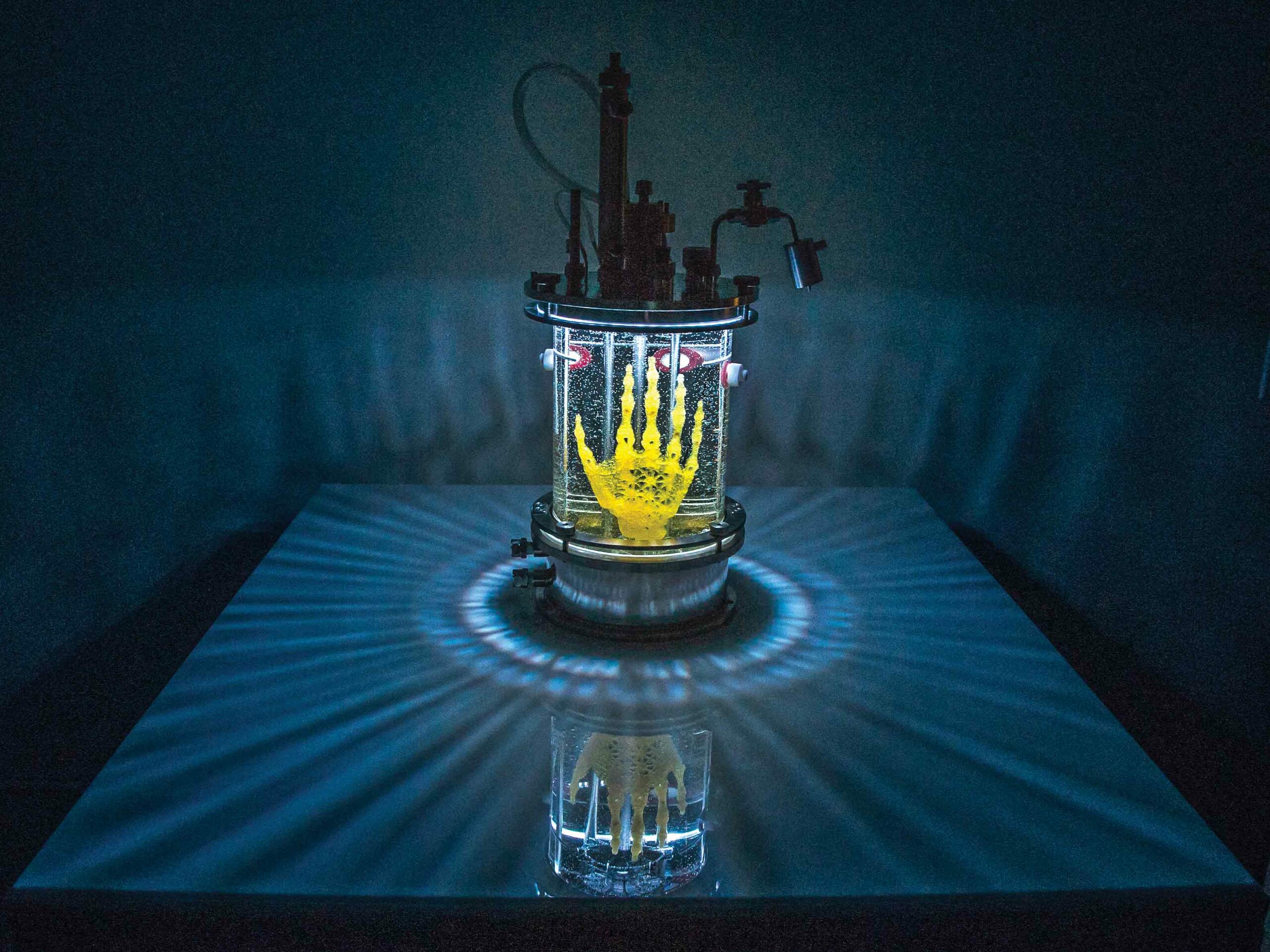 An Artist Is Growing A Skeleton Human Hand In A Lab