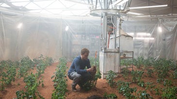 NASA Is Growing Potatoes In Peru To Simulate Martian Conditions