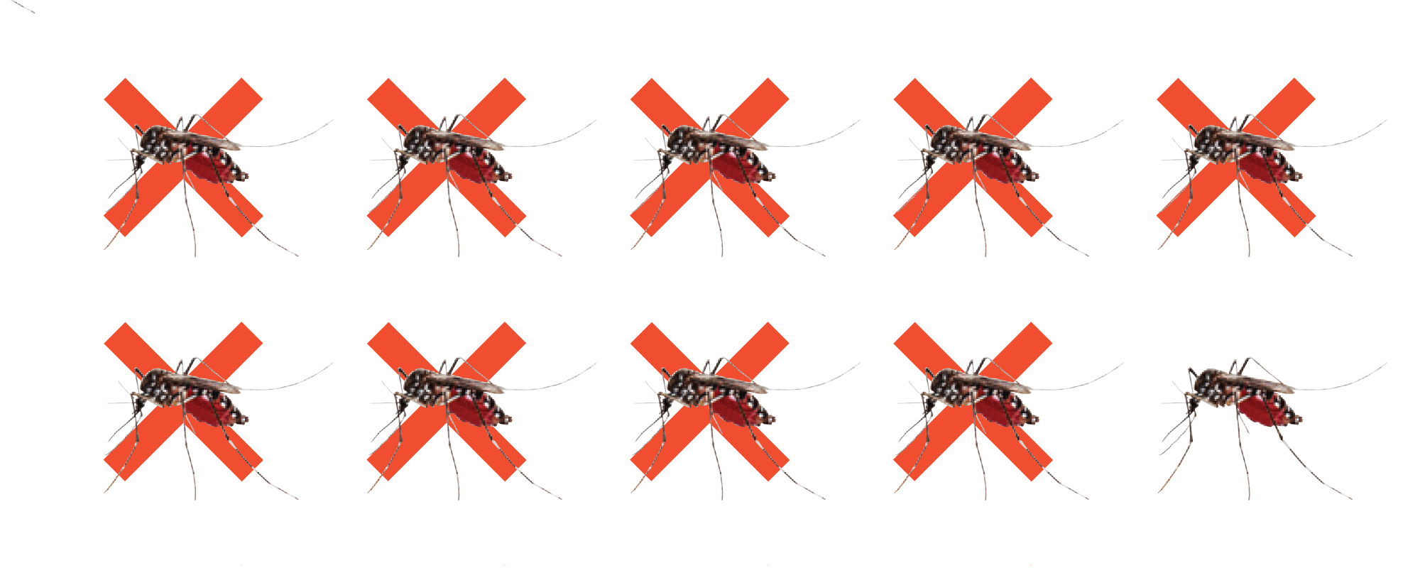 These Mosquitoes Are Designed To Self-Destruct