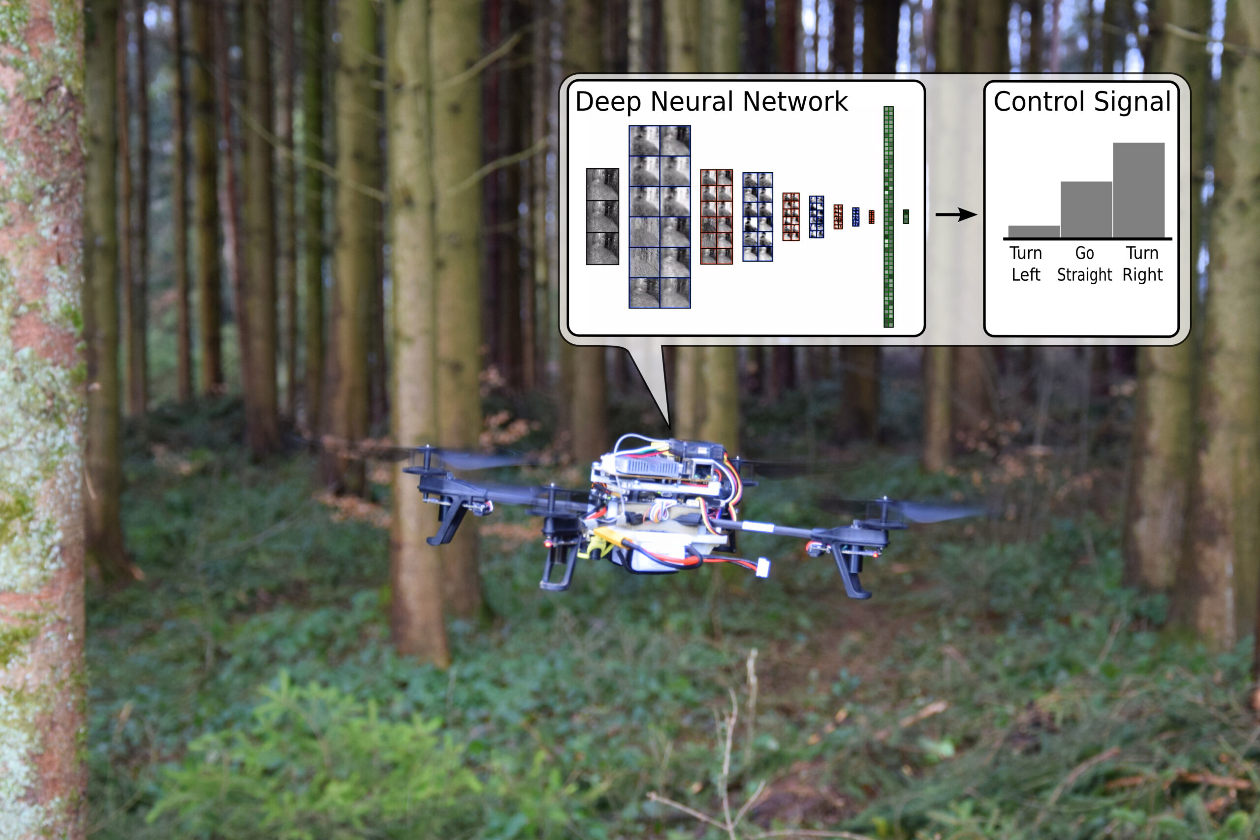 Drones Learn How To Find People Lost In The Woods