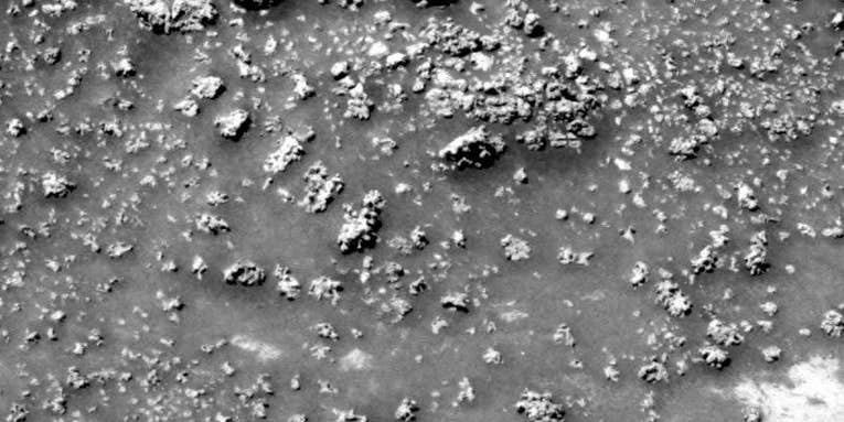 Could These Cauliflower-Like Shapes On Mars Have Been Sculpted By Microbes?