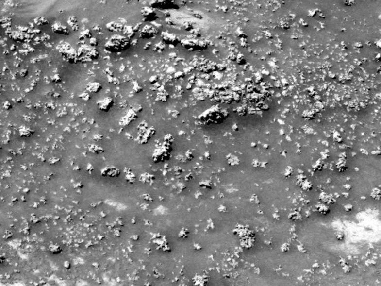 Could These Cauliflower-Like Shapes On Mars Have Been Sculpted By Microbes?
