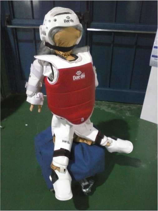 Taekwondo Personal Trainer robot
