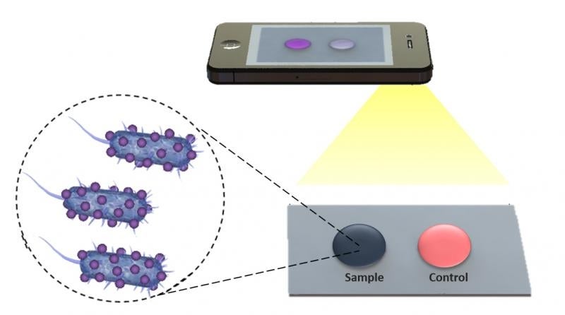 Biosensing Films And Smartphones Let Doctors Diagnose Disease From Anywhere
