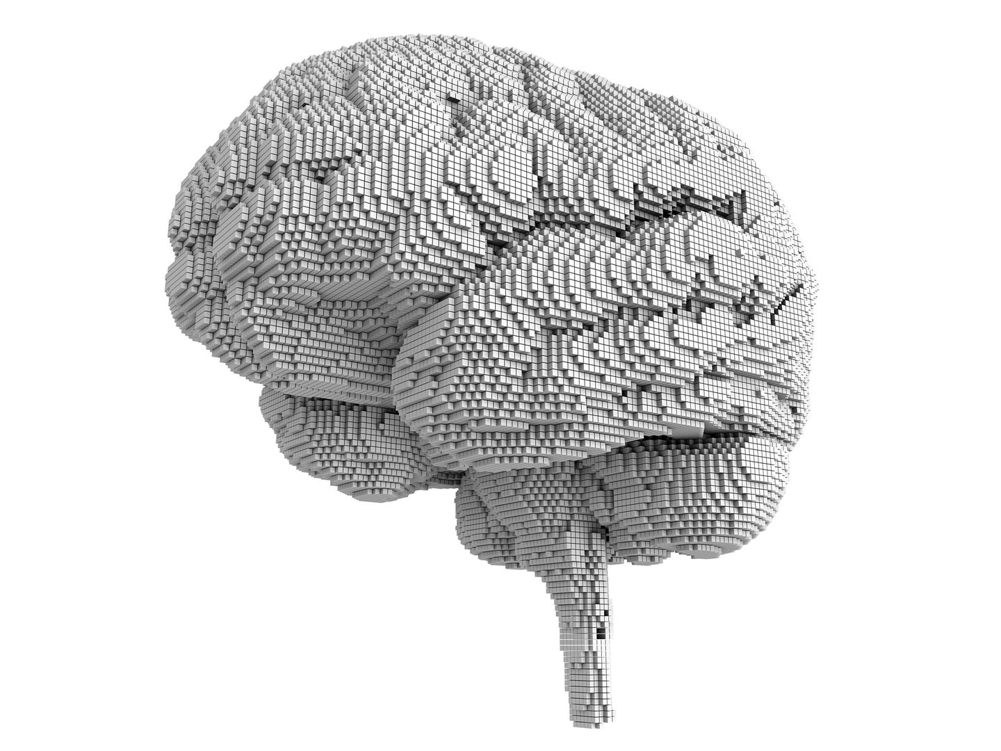 brain made out of tiny cubes