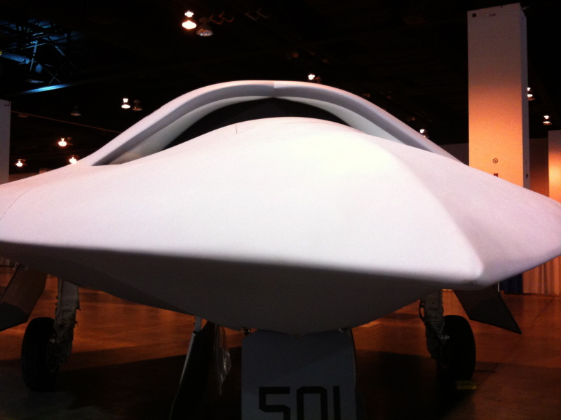 Nose-to-nose with Northrop Grumman's X-47B unmanned combat air vehicle, which is being developed for the Navy as a carrier-based bird.