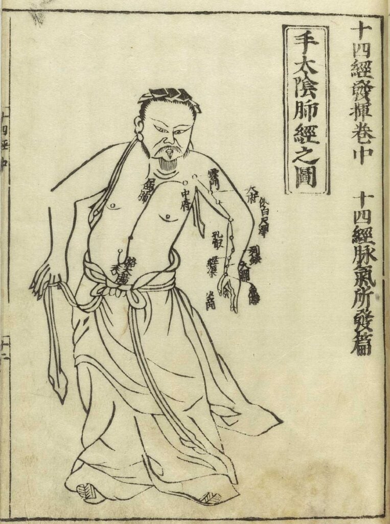 Unlike Western anatomies, this Chinese drawing doesn't show musculature and other interior organs. Instead, it illustrates acupuncture points and the movement of yin and yang through the body.