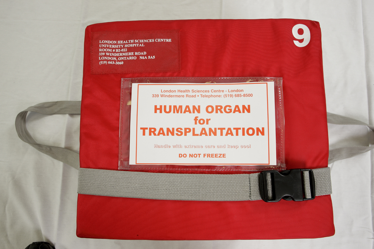 FYI: Are Organs Ever Re-Donated?