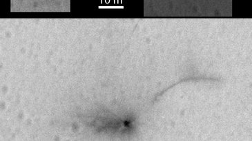 ESA Mars Lander Fragments From HiRISE Camera