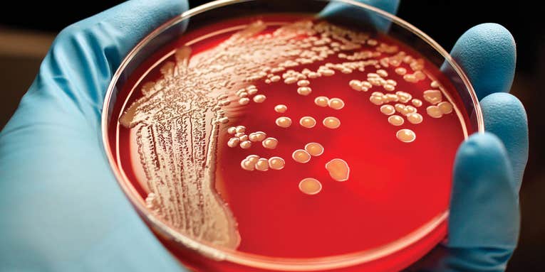 The Microbes In Your Home Could Save Your Life