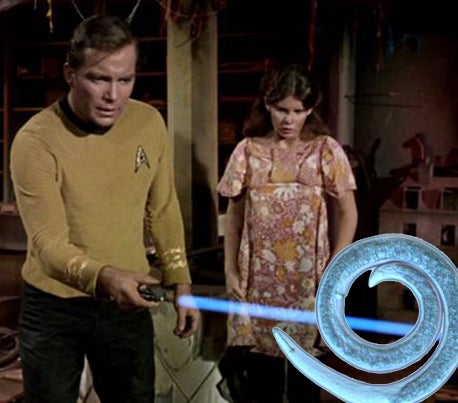Scientists Stun Nematode Worms With UV Phaser Straight Out Of Star Trek