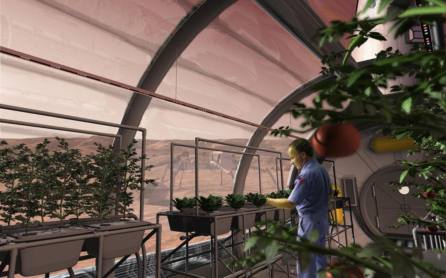 Long-term settlements on Mars could potentially <a href="https://www.popsci.com/article/technology/crops-grow-fake-moon-and-mars-soil/">grow their own food</a>.