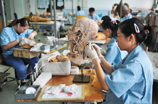 Employees work on partial plastinated human body specimens at a workshop of Dalian Hoffen Bio-Technique Co. Ltd. in Dalian, Liaoning province September 14, 2011. Founded by Dr. Sui Hongjin in 2004, Dalian Hoffen Bio-Technique Co. Ltd. produces, preserves and exhibits plastinated biotic specimens of human and animals. The specimens, including whole bodies as well as individual organs and transparent body slices, each requires four employees to work on it for 8 to 12 months. The exhibits have been meticulously dissected and preserved to allow visitors to view muscular, nervous, circulatory, respiratory and digestive systems. According to Sui, the bodies are legally collected from medical universities. REUTERS/Sheng Li (CHINA - Tags: SOCIETY SCIENCE TECHNOLOGY) CHINA OUT. NO COMMERCIAL OR EDITORIAL SALES IN CHINA