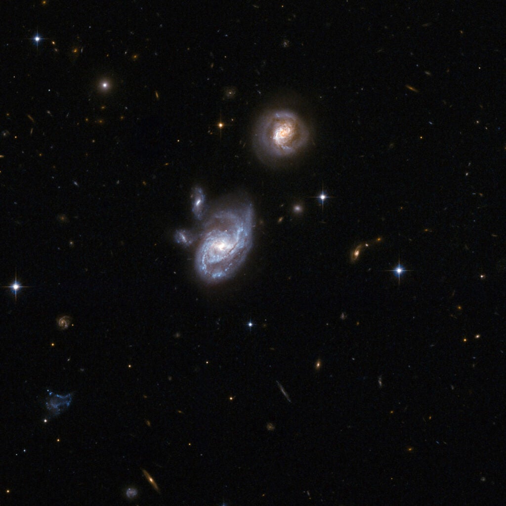 2MASX J09133888-1019196 comprises two interacting galaxies that are both disturbed by gravitational interaction. The wide separation of the pair - approximately 130,000 light-years - suggests that the galaxies are just beginning to merge. Together the two galaxies form an ultra-luminous infrared system, which is unusual for the early stages of an interaction. One possible explanation is that the one or both of the components have already experienced a merger or interaction. Giant black holes lurk at the cores of both galaxies, which are found in the constellation of Hydra, the Sea Serpent, about 700 million light-years away from Earth.