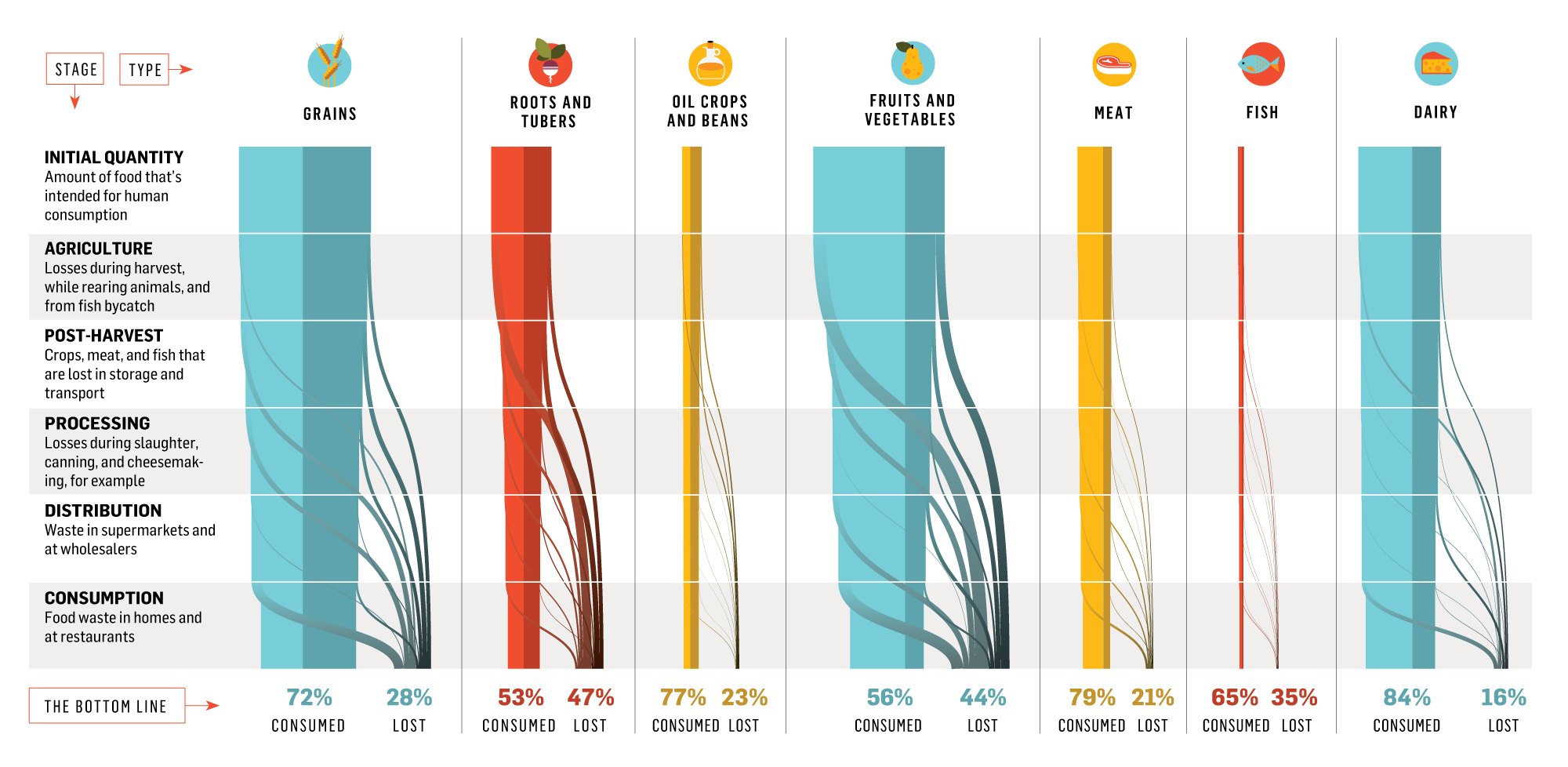 How The World Wastes Food [Infographic]