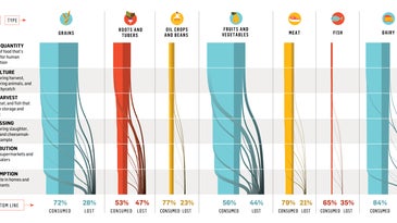 How The World Wastes Food [Infographic]