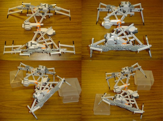 Video: Evolutionary Robots Learn to Crawl Before They Walk