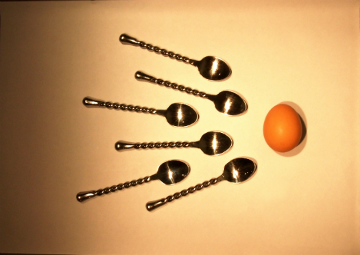<strong>What is it?</strong> A non-hormonal pill that targets sperm's motility. Developed by Joseph Tash at the University of Kansas and his team, the compound gamendazole reduces sperm's ability to swim. "Sperm needs to be very motile to move up to the egg and penetrate the egg and if sperm are sort of paralyzed, that can't happen," says Gunda Georg, who was involved in developing the pill at Kansas and has since moved to the University of Minnesota. <strong>Cost:</strong> It's too early to know for sure, but Georg says she expects the cost to be reasonable, in part because the drug is fairly simple to make—"It only takes about five chemical steps to prepare," she says. <strong>Convenience:</strong> The team is still working out the exact dosage and how often it would need to be taken. It's possible that it could be a daily dose, like the female hormonal pill, but it could also be a weekly dose. <strong>Effectiveness:</strong> In tests on rats, 100 percent of the animals were sterile after taking the drug, Georg says. <strong>Reversibility:</strong> At least in rats, when the animals stopped taking the drug, its effects were fully reversed and the rats returned to normal virility. <strong>Status:</strong> The group's next step is to have a conversation with the Food and Drug Administration to find out what they would need to do to get approval for a clinical trial. If gamendazole does make it into clinical trial, it would be the first non-hormonal male birth control drug to do so.