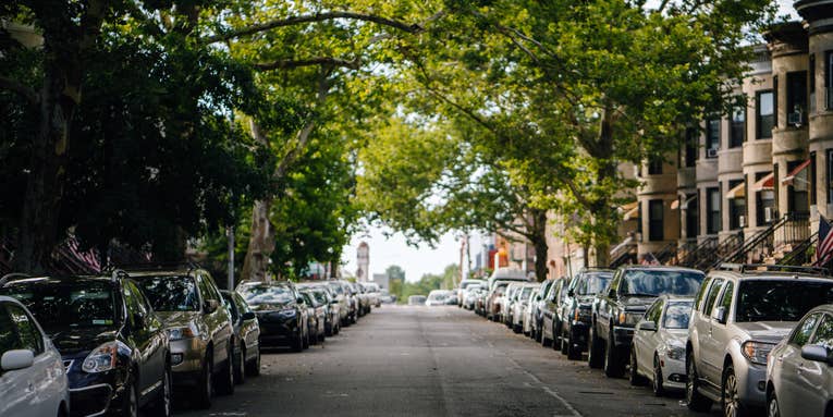 Here’s how many trees are required to cool a city street