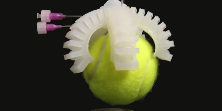 Squishy robots now have squishy computers to control them