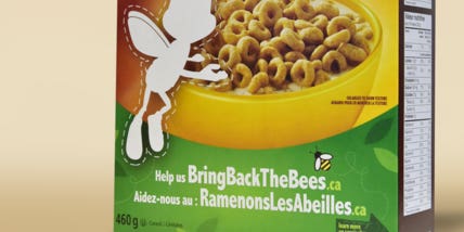 Buzz Is Disappearing From ‘Honey Nut Cheerios’ Boxes
