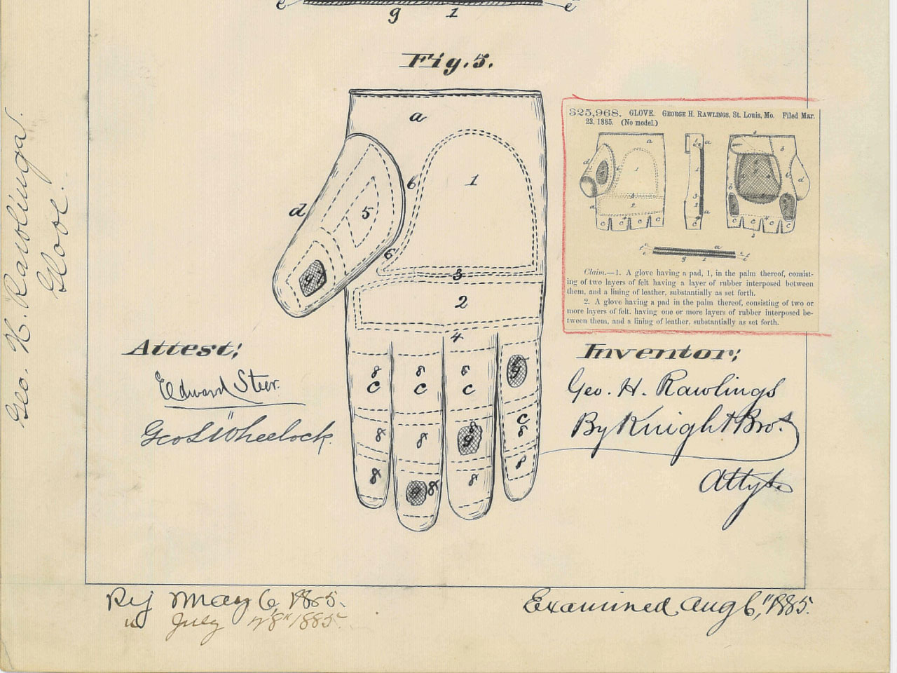 Inside The Painful History Of The First Baseball Glove