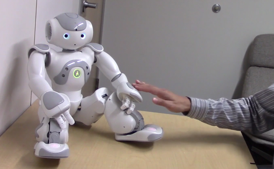 Touching Robots In Private Parts Makes People Uncomfortable