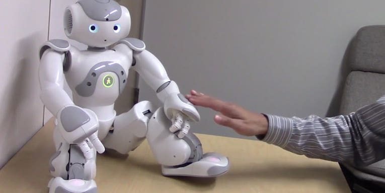 Touching Robots In Private Parts Makes People Uncomfortable