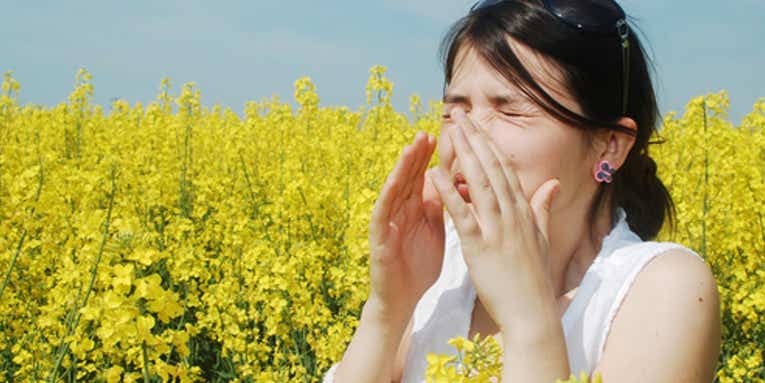 After millennia of allergy treatments, here’s what actually works