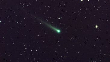 Comets could all come from the same place