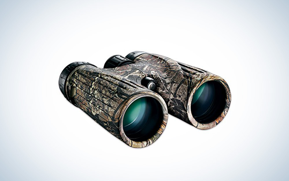Bushnell Legend HD binoculars