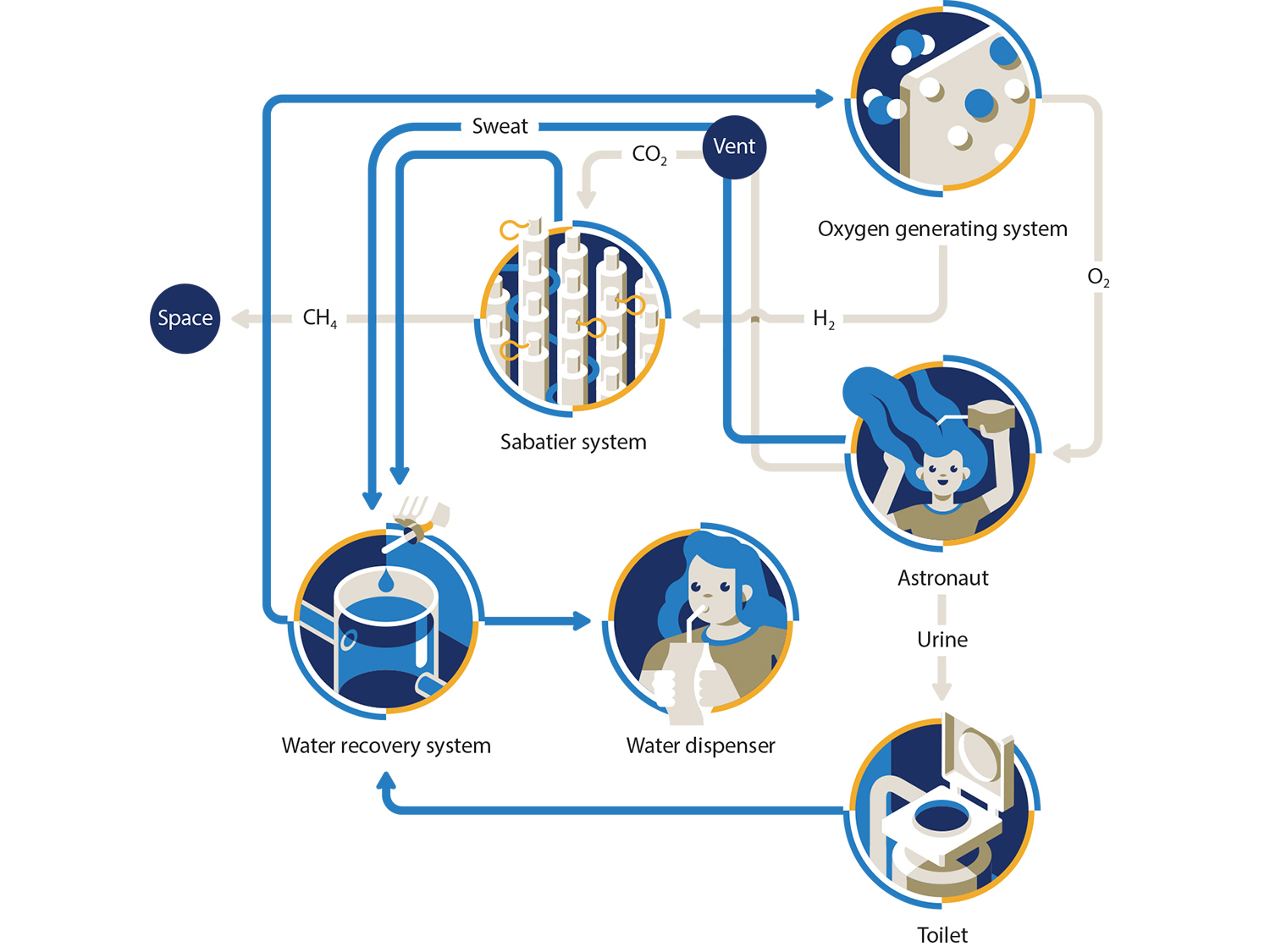 How the ISS recycles its air and water