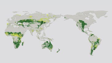 Only 10 percent of the world’s grasslands are intact