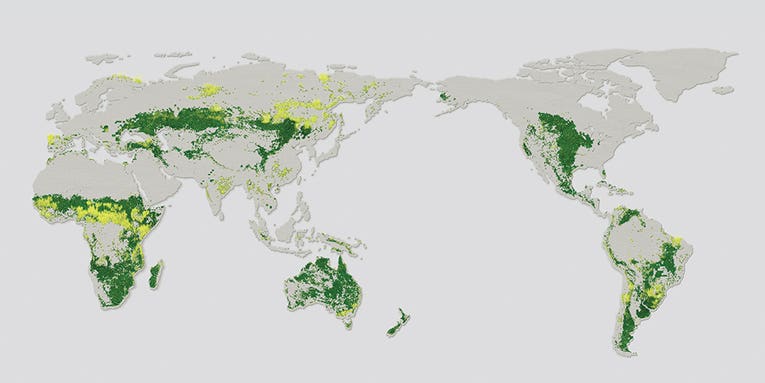 Only 10 percent of the world’s grasslands are intact