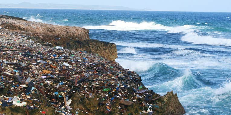 Plastic chemicals could harm the ocean bacteria that produce 10 percent of our oxygen