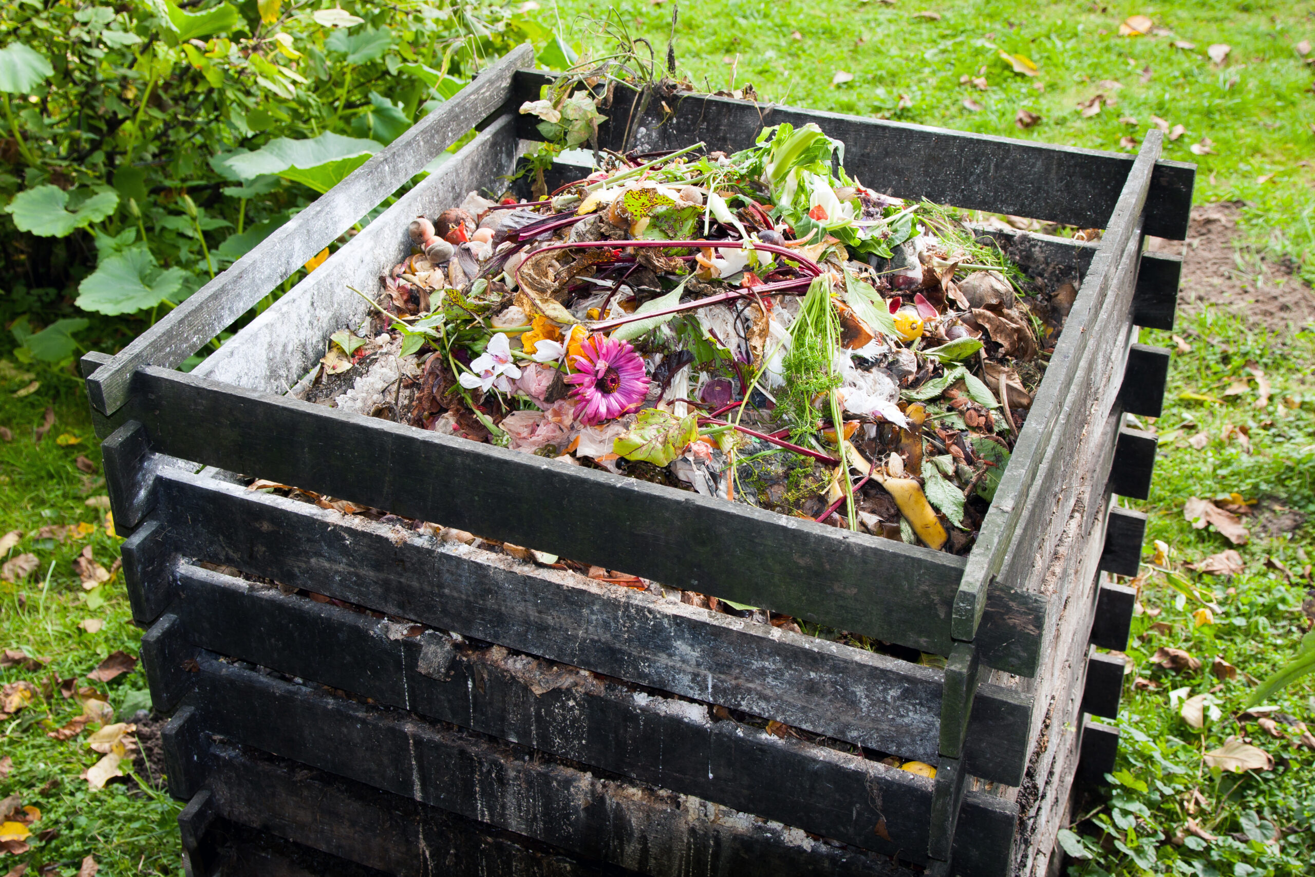 Eco-friendly packaging could be poisoning our compost